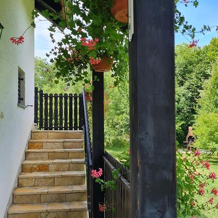 Apartmán Apartman Poznanovic Rakovica Exteriér fotografie