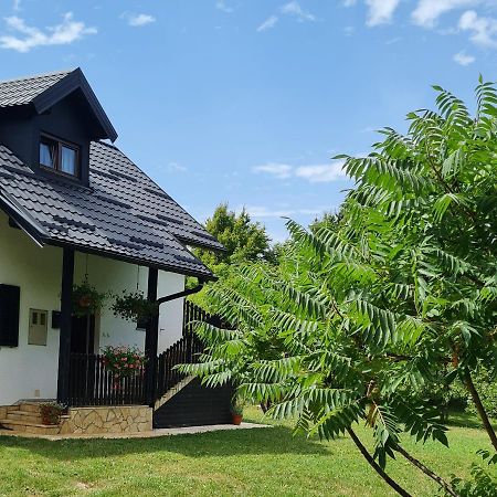 Apartmán Apartman Poznanovic Rakovica Exteriér fotografie