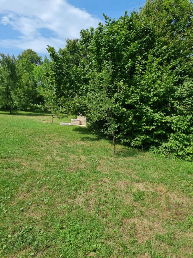 Apartmán Apartman Poznanovic Rakovica Exteriér fotografie